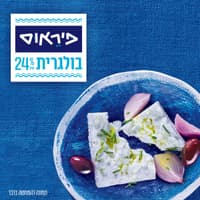 גבינה בולגרית 24%