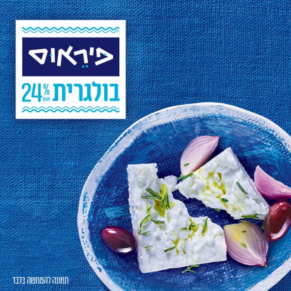 גבינה בולגרית 24%