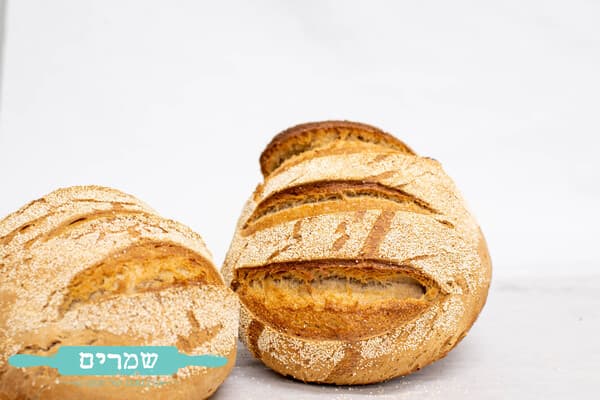 לחם שאור לבן