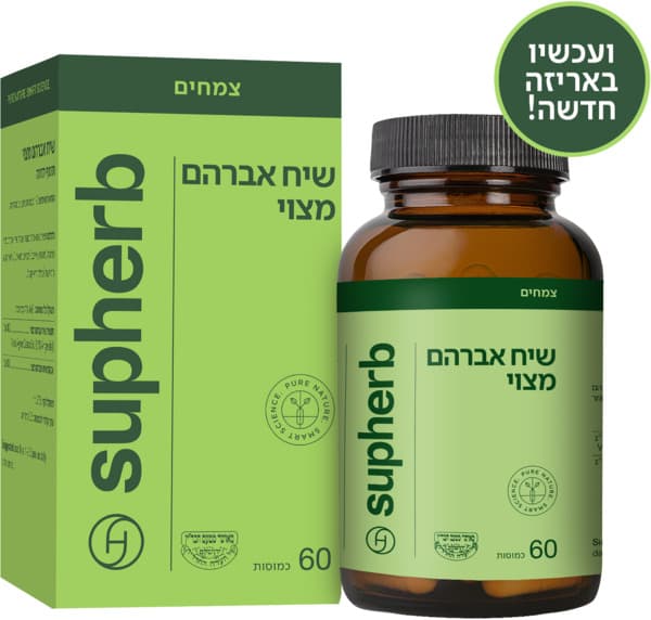 תמצית אגנוס קאסטוס