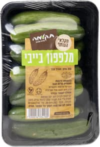 מלפפון בייבי