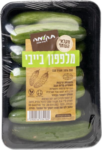 מלפפון בייבי
