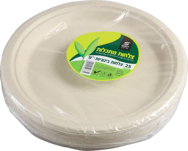 צלחת בינונית "9