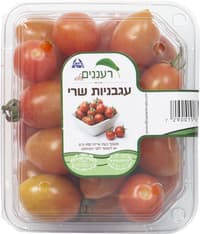 עגבניות שרי