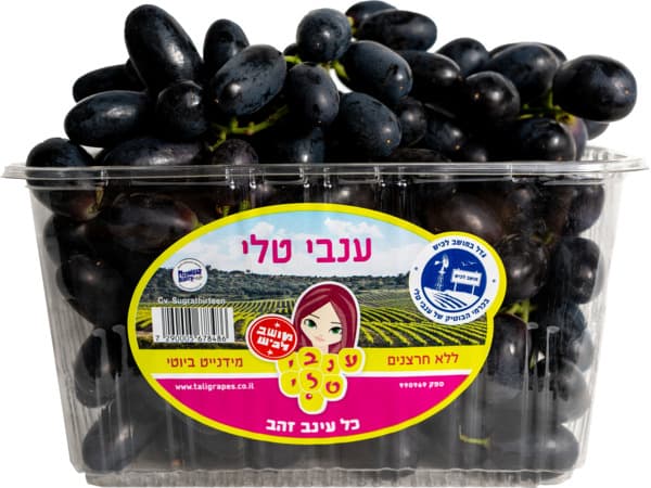 ענבים מידנייט ביוטי