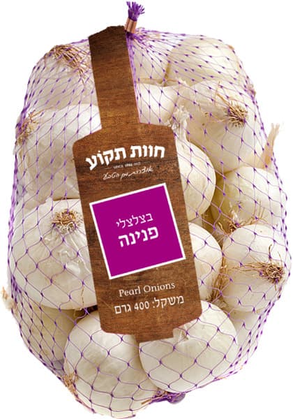 בצלצלי פנינה תקוע