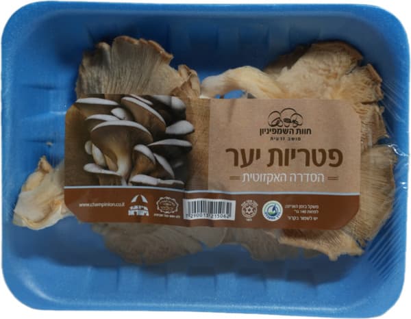 פטריות יער