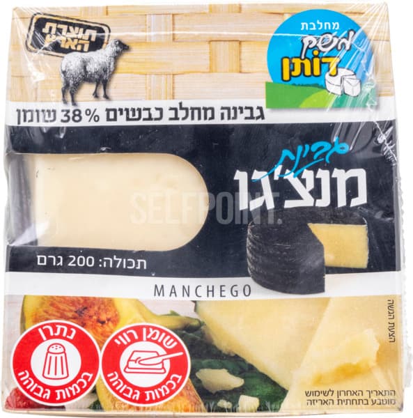מנצ'גו כבשים קרטונית
