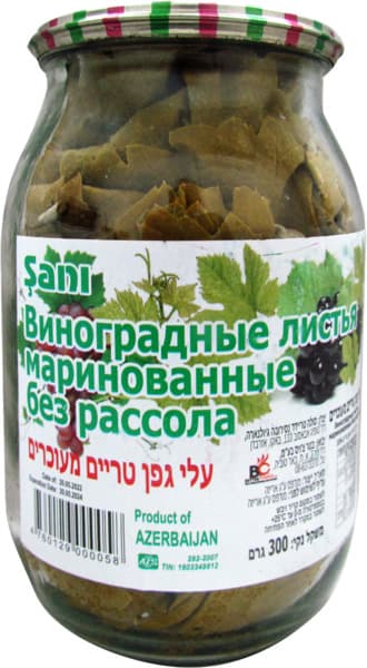 עלי גפן טריים מעוכרי