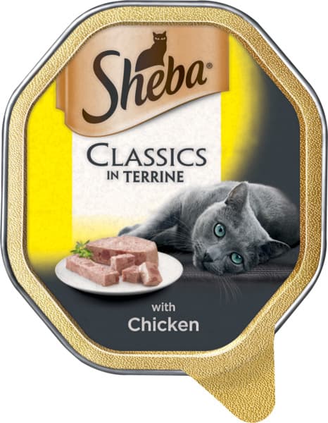 מזון לחתולים פטה עוף