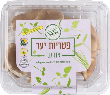 פטריות יער אורגני