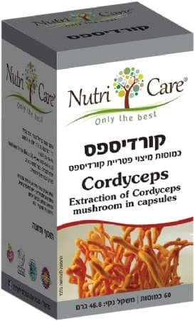 קורדיספס