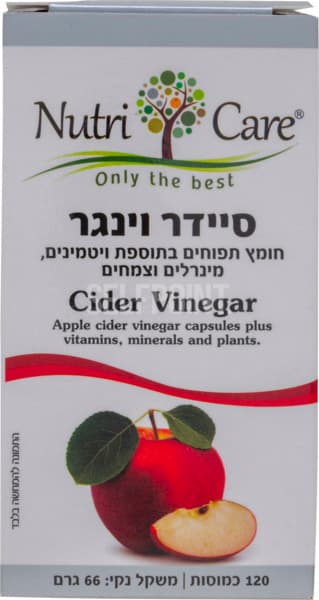 סיידר וינגר