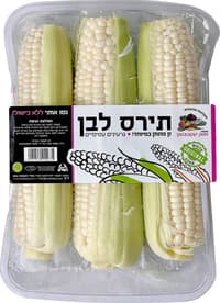 תירס לבן