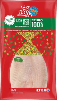 פילה אמנון קפוא