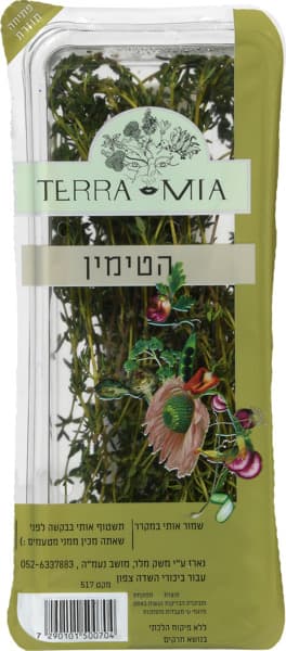 הטימין
