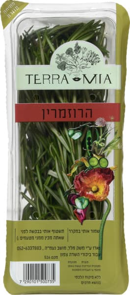 רוזמרין