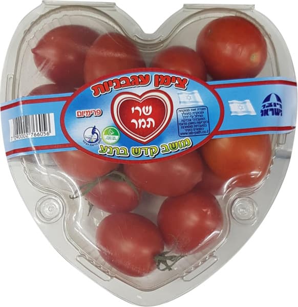 עגבניות שרי