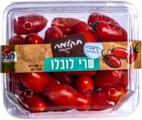 עגבניות שרי לובלו ב