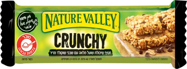 חטיף שיבולת שועל עם שבבי שוקולד מריר