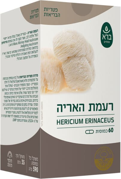 רעמת האריה