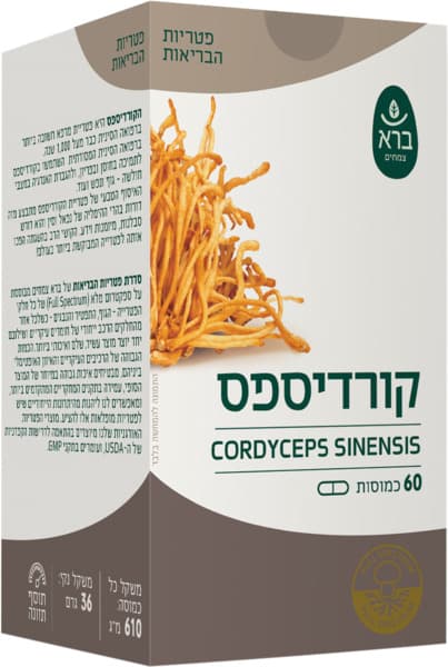 קורדיספס