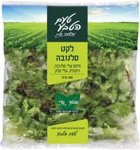 לקט סלנובה