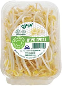 נבטים סינים