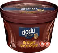 גלידת שוקולד עם שוקולד צ'יפס