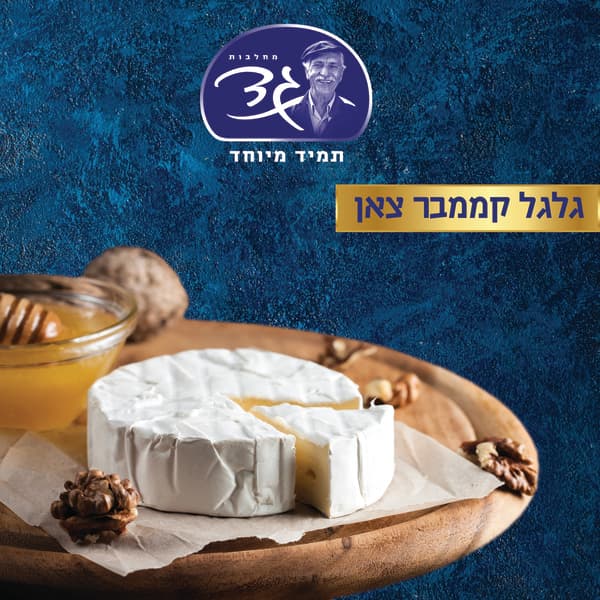 גבינה קממבר צאן