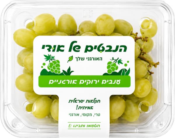 ענבים ירוקים אורגנים כ- 500 גרם הנבטים של אודי