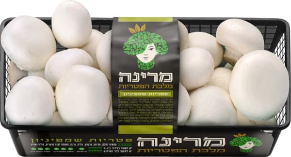 פטריות צמד חמד שמפניון
