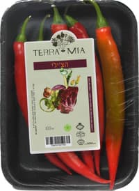 פלפל צ'ילי חריף טרי