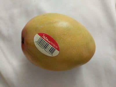 מנגו