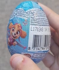 ביצת שוקולד סורפריז