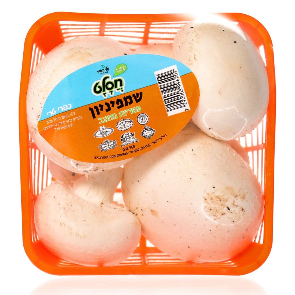 פטריות שמפיניון חסלט ללא חרקים א.א