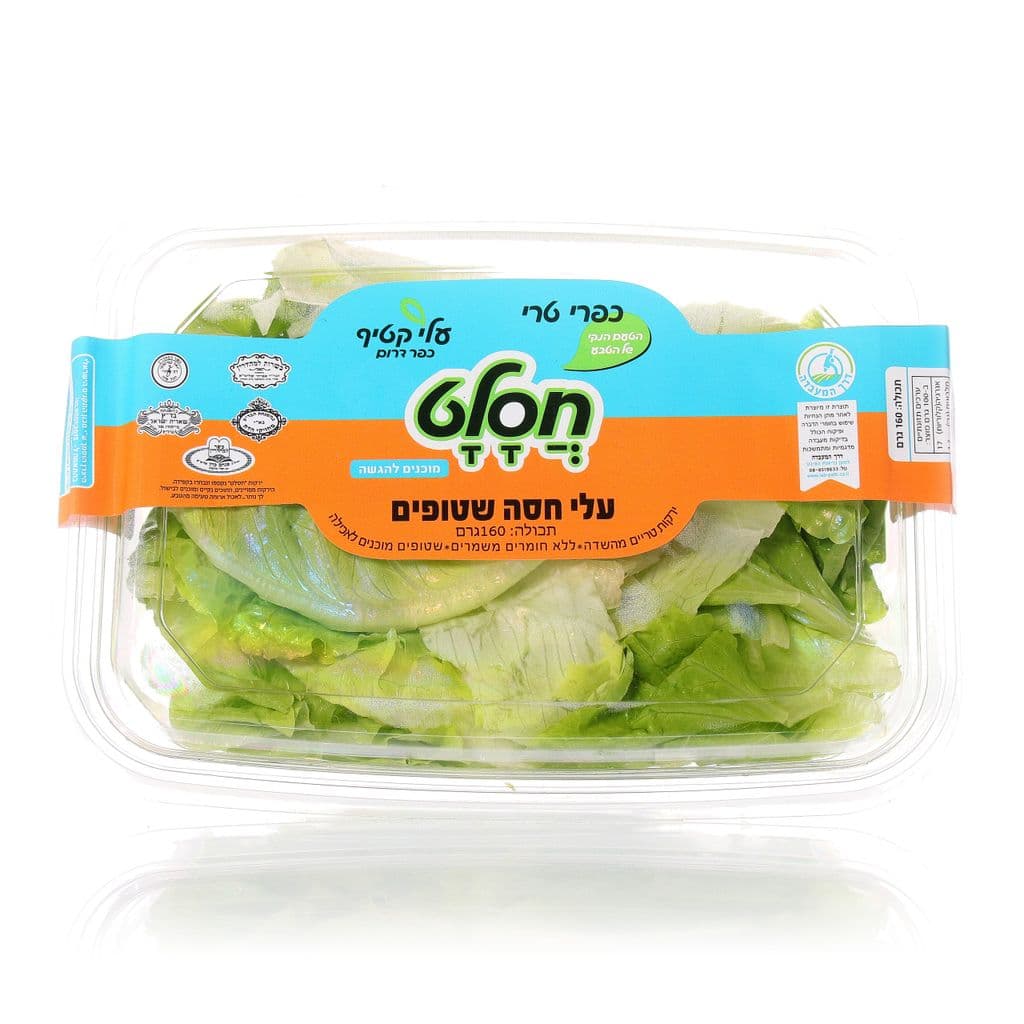 עלי חסה רומית חסלט