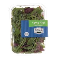 עלי בייבי