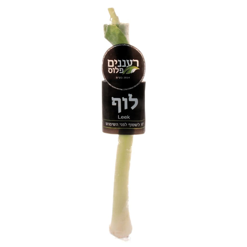 לוף כרישה
