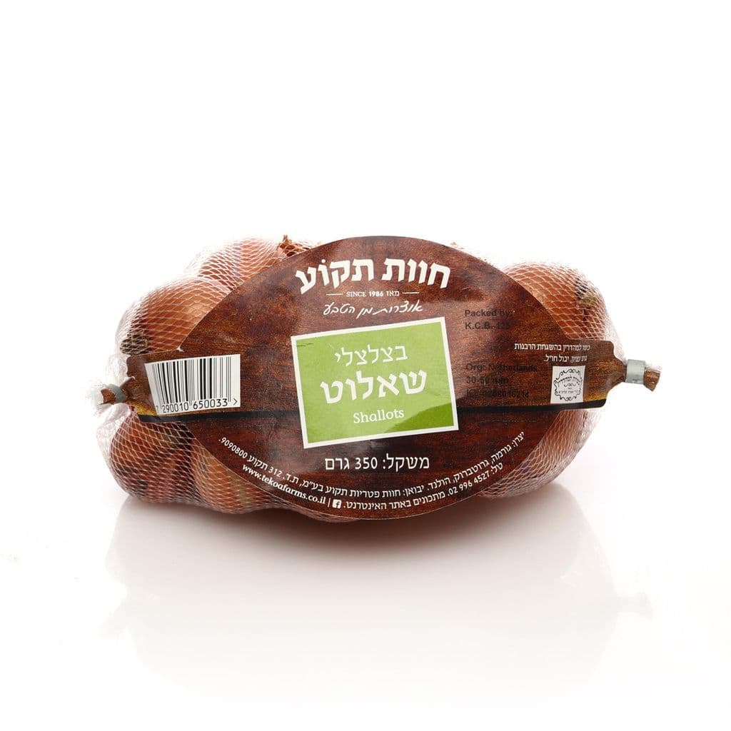 שאלוט