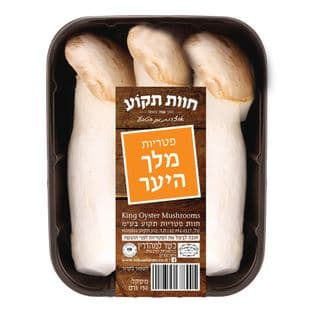פטריות מלך היער בייב