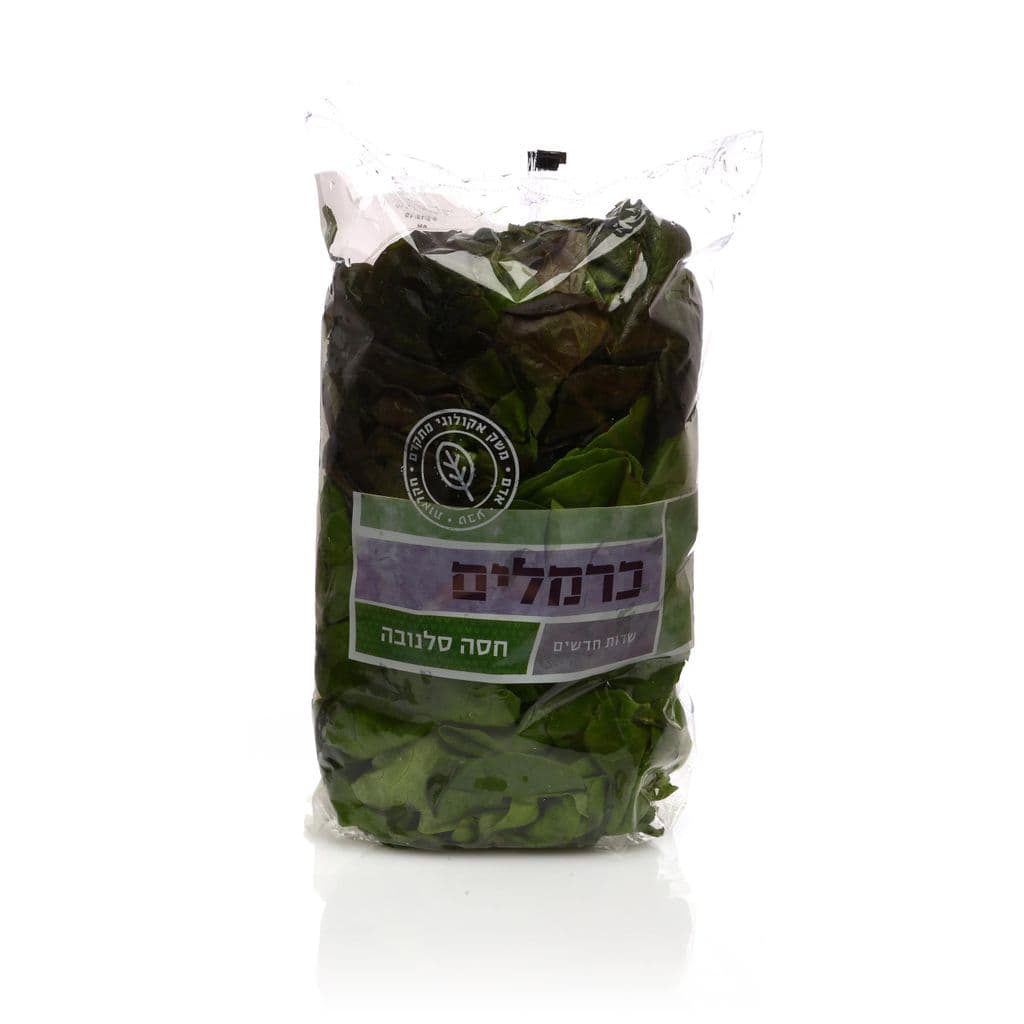 חסה סלנובה