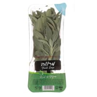 מרווה