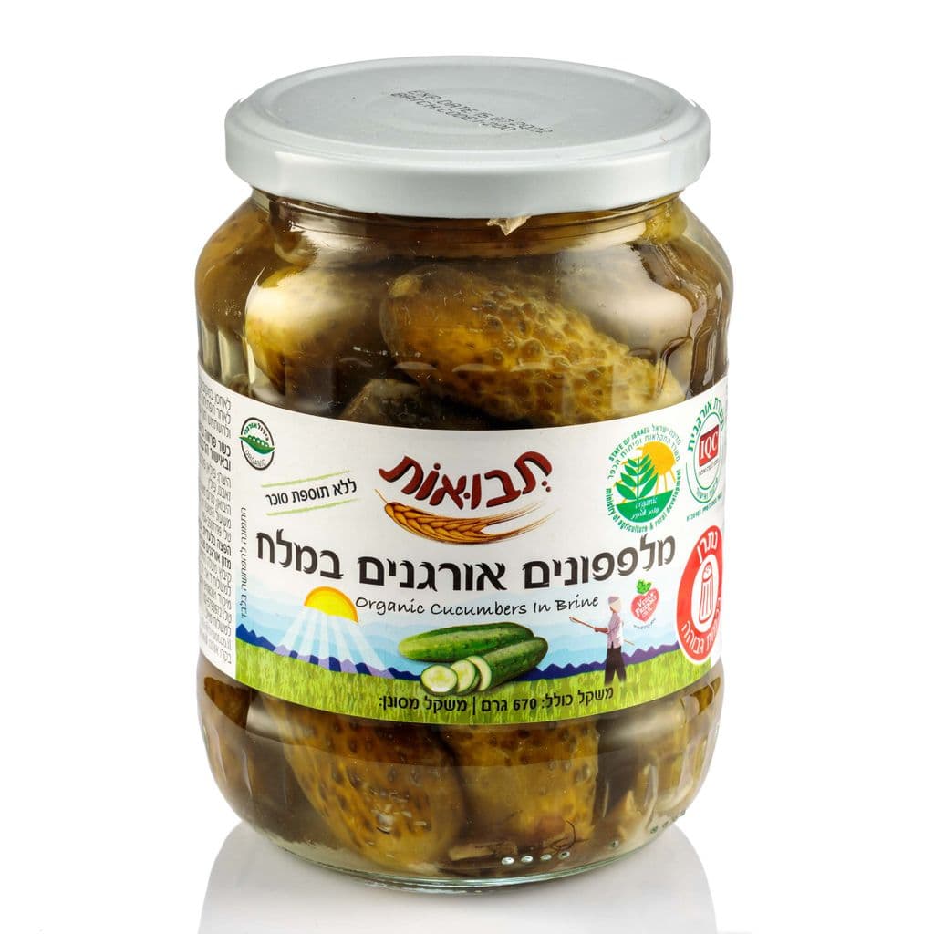 מלפפונים אורגניים במלח