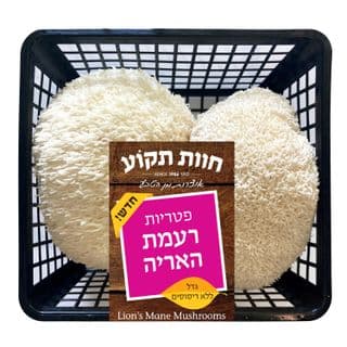 פטריות רעמת האריה תק