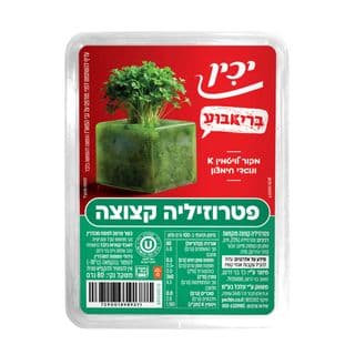 פטרוזיליה בריאבוע 80 ג' יכין