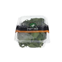 עלי תרד ניזילנדי
