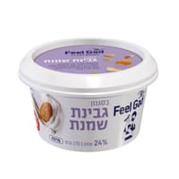 פילגד בסגנון גבינת שמנת 24% 170 גרם בד"ץ רובין