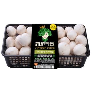 צמד חמד שמפניון יחידה אריזה מוגדלת