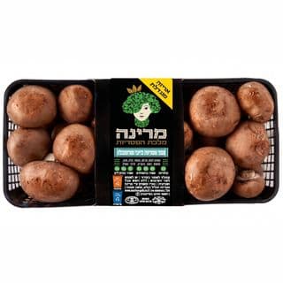 צמד פטריות בייבי בלה מרינה